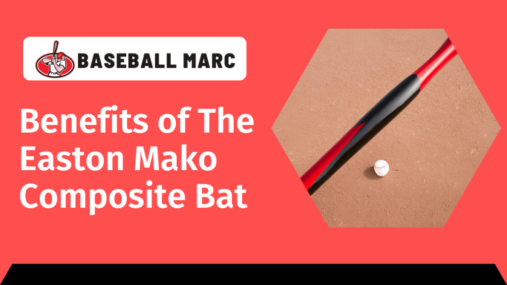 easton mako composite bat