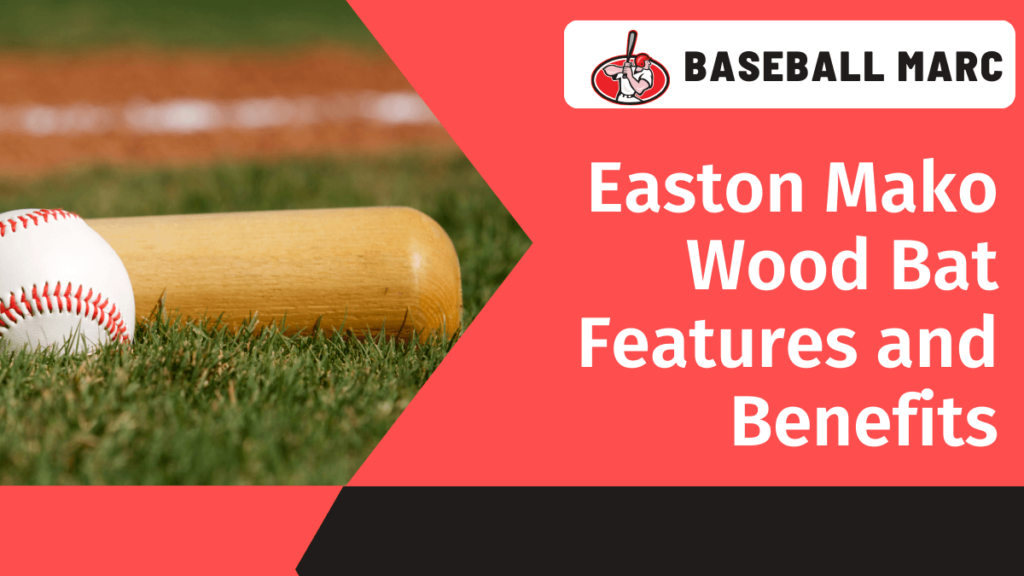 easton mako wood bat