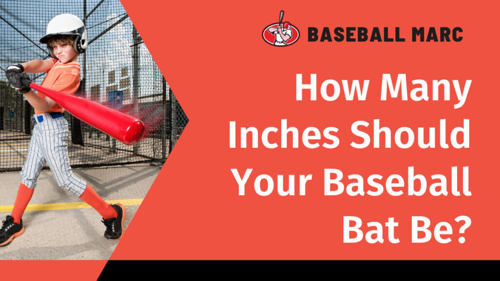 how many inches should your baseball bat be