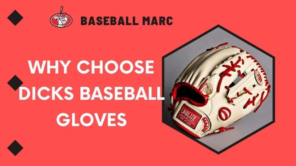 custom dicks baseball gloves