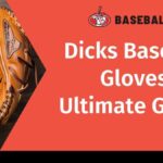 dicks baseball gloves