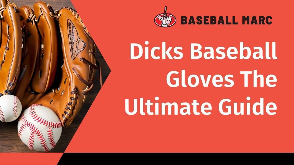 dicks baseball gloves