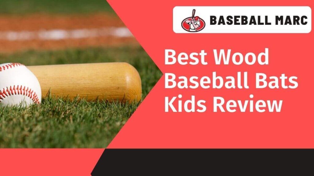 wood baseball bat kids