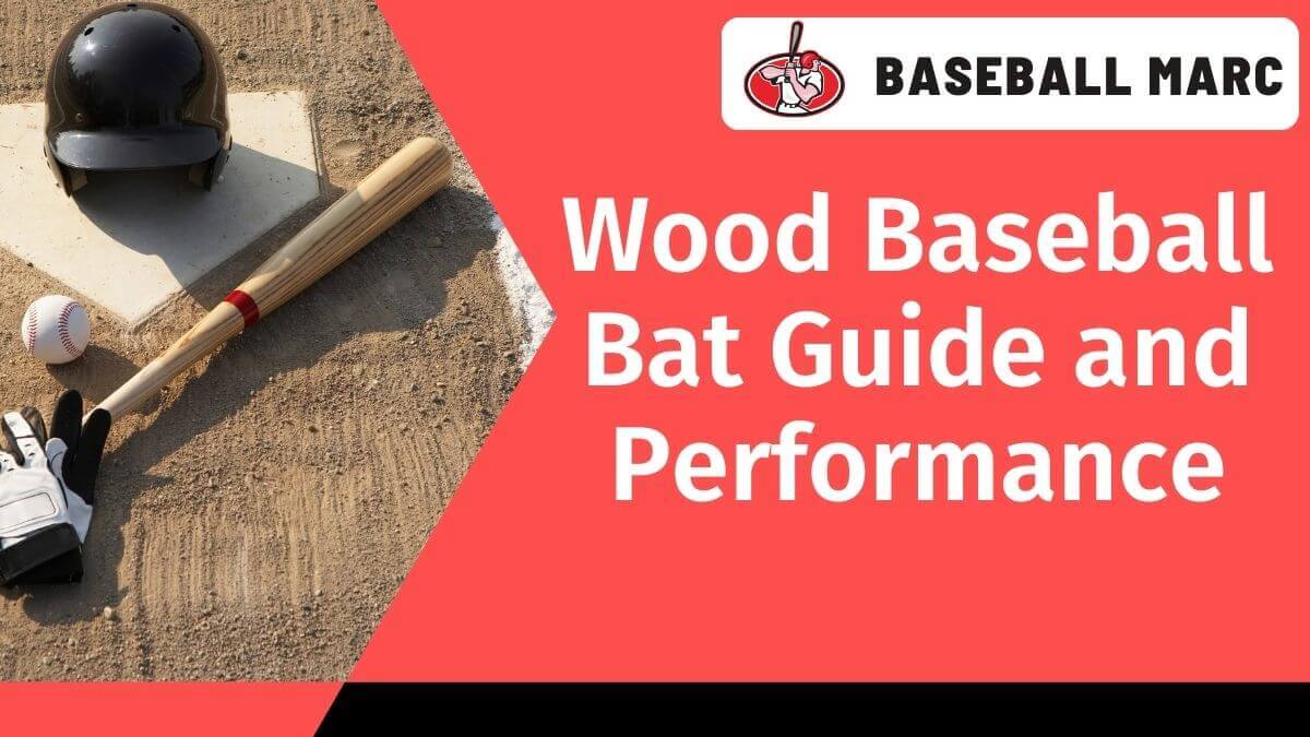 wood baseball bat