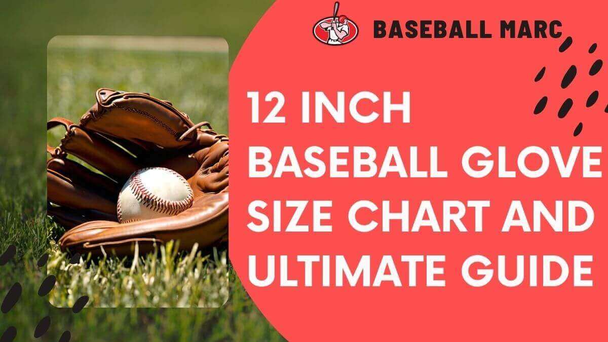 12 inch baseball glove